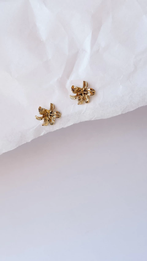 Aros Magnolia (A329)