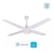 Ventilador de Techo LILIANA VTHB114 4 Aspas Metalicas 5 vel. CON luz * - comprar online