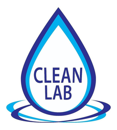Agua Lavandina Conc. (55 Gr./lt) X 5 Lts Clean Lab Pack X 2 en internet