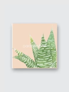 SET CACTUS SALMON X 2 en internet