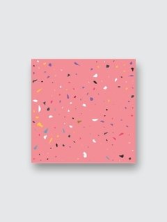 TERRAZZO PINK