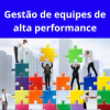 Gestão de Equipes de Alta Performance