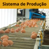 Sistema de Produção