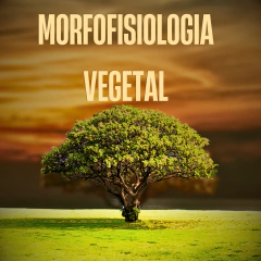 Morfofisiologia Vegetal