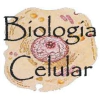 BIOLOGIA CELULAR