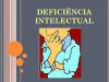 Práticas de Leitura e Escrita de Alunos com Deficiência Intelectual