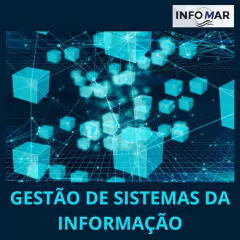 GESTÃO DE SISTEMAS DA INFORMAÇÃO