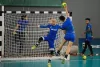 Metodologia do ensino de handebol