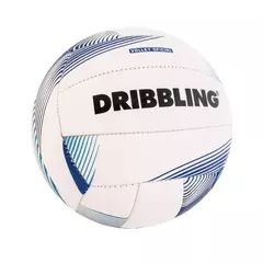 Pelota Classic 1.0 | N° 5 | DRB en internet