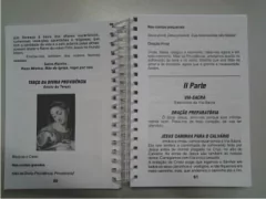Livro Caminhando Com Maria - 20 unid na internet