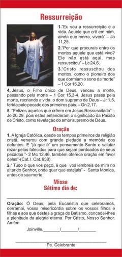 Setimo Dia na internet