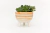 Maceta Bowl Patitas (diferentes colores) - tienda online
