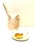 PLATO MOUSE en internet