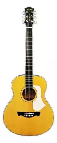 VIOLÃO ELETROACÚSTICO AÇO TAGIMA PORTEÑO na internet