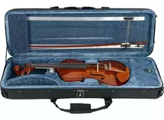 VIOLINO EAGLE 4/4 E441 COM CASE - comprar online