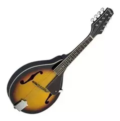 MANDOLIM ACÚSTICO STAGG M20 na internet