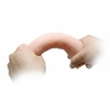 Pênis Realístico Macio Com ventosa e Vertebra 20x3,7 cm na internet