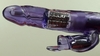 Vibrador Rotativo Estimulador Feminino Clitóris Jack Rabbit RT012 - comprar online