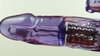 Imagem do Vibrador Rotativo Estimulador Feminino Clitóris Jack Rabbit RT012