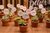 Mini Suculentas com Plaquinhas Personalizadas - 10 unidades