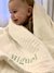 MANTA PERSONALIZADA PARA BEBÊ - THEO na internet