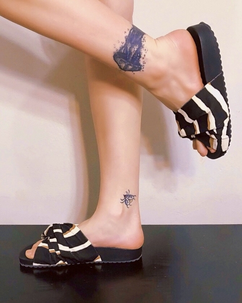 Flat Lapinha Zebra na internet