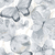 MARIPO06 - comprar online