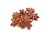 Anís estrellado x 25grs - comprar online