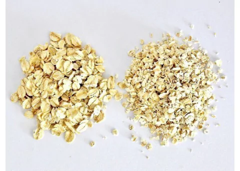 Avena GRUESA / INSTANTÁNEA x 500grs