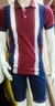 Camisa Polo Cotton Luxo kit 05 unid - comprar online