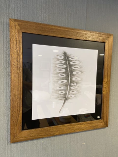 Cuadro Cuadrado Pluma Gris Marco Madera Fondo Blanco Con Vidrio - comprar online