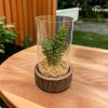 Plantin Artificial Maceta Vidrio