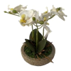 Plantin Artificial Orquidea Maceta De Cemento