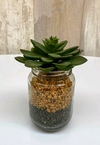 Plantines en frasco - tienda online