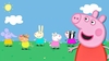 Tecido 139 - Peppa