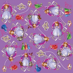 Tecido 150 - Princesa Sofia