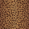 Tecido 168 - Onça Animais