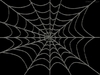 Tecido 289 - Teia Aranha Super Heróis