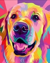 (2797) Pintura em Tela Numerada - Tela Tintas Pincéis- Labrador Abstrato - Com mini chave Philips e suporte para parede
