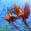 (1829) Pintura com Diamante - Araras 1 - 25x25 cm - Total