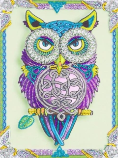 (2008) Pintura com Diamante - Coruja 26 - 30x40 cm - Pedras Especiais - Mundo dos QCS