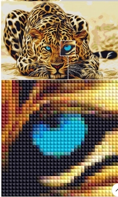 Imagem do (1385) Pintura com Diamantes - Gatos sob o Sol - 25x35 cm