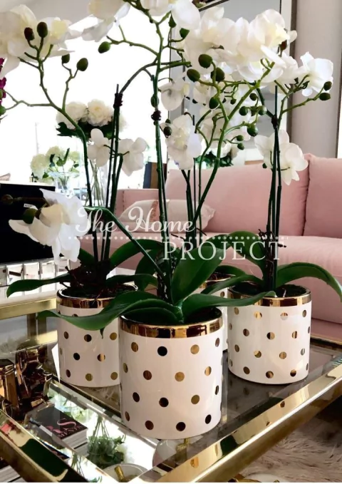 MACETA GOLD CON ORQUIDEA MEDIANA|EN STOCK