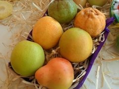 Sabonete Hidratante Laranja