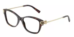 ARMAÇÃO TIFFANY TF2266