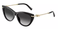 ÓCULOS DE SOL TIFFANY TF4253