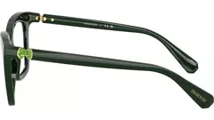 ARMAÇÃO SWAROVSKI SK2043 na internet