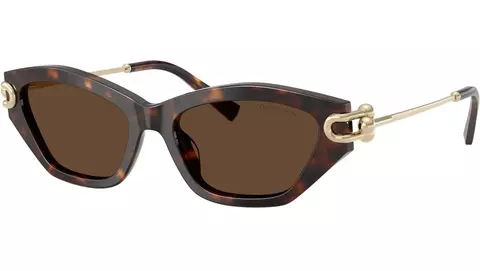 ÓCULOS DE SOL TIFFANY TF4231U - comprar online