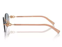ÓCULOS DE SOL TIFFANY TF3104D na internet