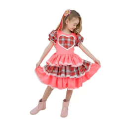 Vestido Festa Junina Caipira Rosa com Xadrez 2 a 12 Anos na internet